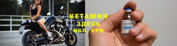 сатива Армянск