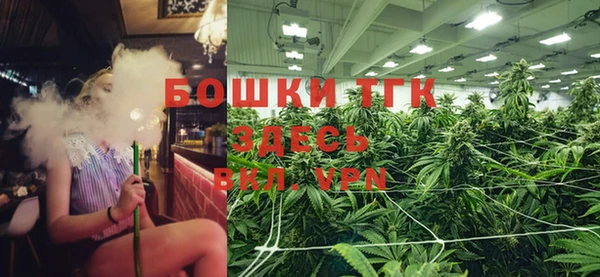 стаф Дмитровск