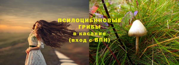 альфа пвп Арсеньев