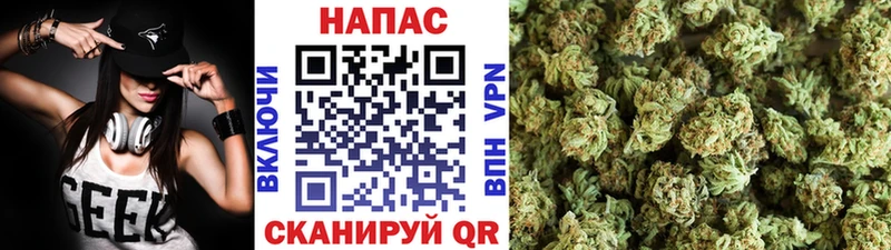 наркотики  Гвардейск  Шишки марихуана AK-47 